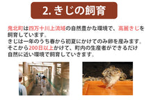 画像をギャラリービューアに読み込む, 国産きじ肉 鬼北熟成きじ鍋セット 3～4人前（きじ肉・きじだんご・スープ）【鬼北きじ工房】【愛媛県鬼北町】【キジ鍋】（送料無料※北海道、東北、沖縄へは別途送料）
