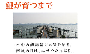 国産 鯉の角煮3種6袋セット（醤油・生姜・山椒 各2袋）【コモリ食品】【骨まで柔らかいうま煮】