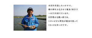 国産 鯉の角煮3種6袋セット（醤油・生姜・山椒 各2袋）【コモリ食品】【骨まで柔らかいうま煮】