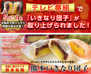 芋屋長兵衛 熊本名物「いきなり団子」20個セット（プレーン・さくら・よもぎ・紫芋・黒糖の5種類）【クール便】