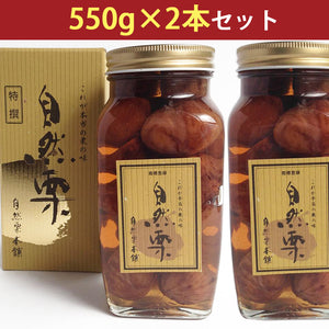 国産 熊本県産 栗 渋皮煮 自然栗・中びん 550ｇ×2 添加物不使用 無添加 自然栗本舗 熊木産業 ギフト