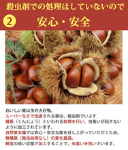 画像をギャラリービューアに読み込む, 国産 熊本県産 栗 渋皮煮 自然栗・中びん 550ｇ×2 添加物不使用 無添加 自然栗本舗 熊木産業 ギフト
