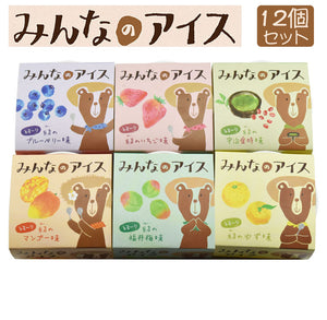 みんなのアイス 6種各2個 計12個セット（ブルーベリー・いちご・宇治抹茶・マンゴー・福井梅・ゆず）【アレルギー特定原材料7品目ゼロ】【脂肪分ゼロ】【福井県産サトイモ使用】