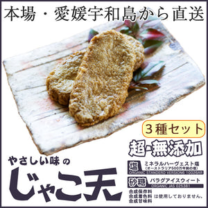 無添加 彩じゃこ天詰合わせ 3種セット（じゃこ天・ごぼう天・レンコン天 各2袋）【宇和島屋】【本場・愛媛宇和島から直送】