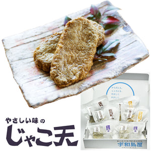 無添加 彩じゃこ天詰合わせ 3種セット（じゃこ天・ごぼう天・レンコン天 各2袋）【宇和島屋】【本場・愛媛宇和島から直送】