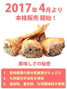 ナバ手羽餃子 ギフト 17本入【宮崎の新名物】【岡田商店】【原木椎茸たっぷり】【保存料、化学調味料、不使用】2017年春 本格発売 【なば手羽餃子】