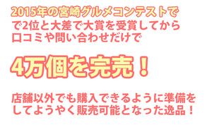 ナバ手羽餃子 ギフト 17本入【宮崎の新名物】【岡田商店】【原木椎茸たっぷり】【保存料、化学調味料、不使用】2017年春 本格発売 【なば手羽餃子】