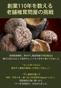 ナバ手羽餃子 ギフト 17本入【宮崎の新名物】【岡田商店】【原木椎茸たっぷり】【保存料、化学調味料、不使用】2017年春 本格発売 【なば手羽餃子】