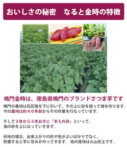 鳴門いも入り 糀きんとき甘酒 200ml ×24【米麹の甘酒】【鳴門金時入り】【鳴門のいも屋】