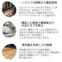画像をギャラリービューアに読み込む, クイーンズブリュレ＋じゅわっと半熟たまごカステラ【たまごファミリー】【送料無料（北海道は除く）】【クール便】
