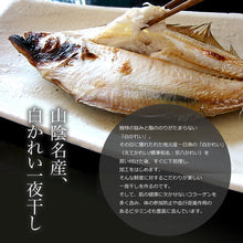 画像をギャラリービューアに読み込む, 日本海厳選地魚一夜干「一日漁」恵比寿（えびす） のどぐろ、甘鯛、れんこ鯛、かれい 国産 島根産 無添加 岡富商店 -おかとみ- ギフト
