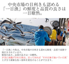 画像をギャラリービューアに読み込む, 日本海厳選地魚一夜干「一日漁」恵比寿（えびす） のどぐろ、甘鯛、れんこ鯛、かれい 国産 島根産 無添加 岡富商店 -おかとみ- ギフト
