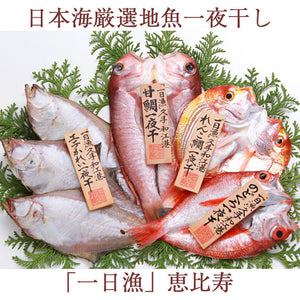 日本海厳選地魚一夜干「一日漁」恵比寿（えびす） のどぐろ、甘鯛、れんこ鯛、かれい 国産 島根産 無添加 岡富商店 -おかとみ- ギフト
