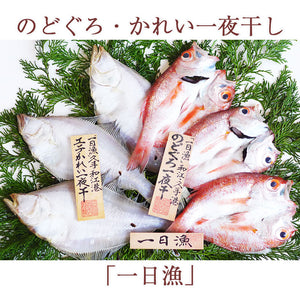 のどぐろ・かれい一夜干「一日漁」 ノドグロ（アカムツ）・エテカレイ（宗八カレイ） 国産 島根産 無添加 岡富商店 -おかとみ- ギフト