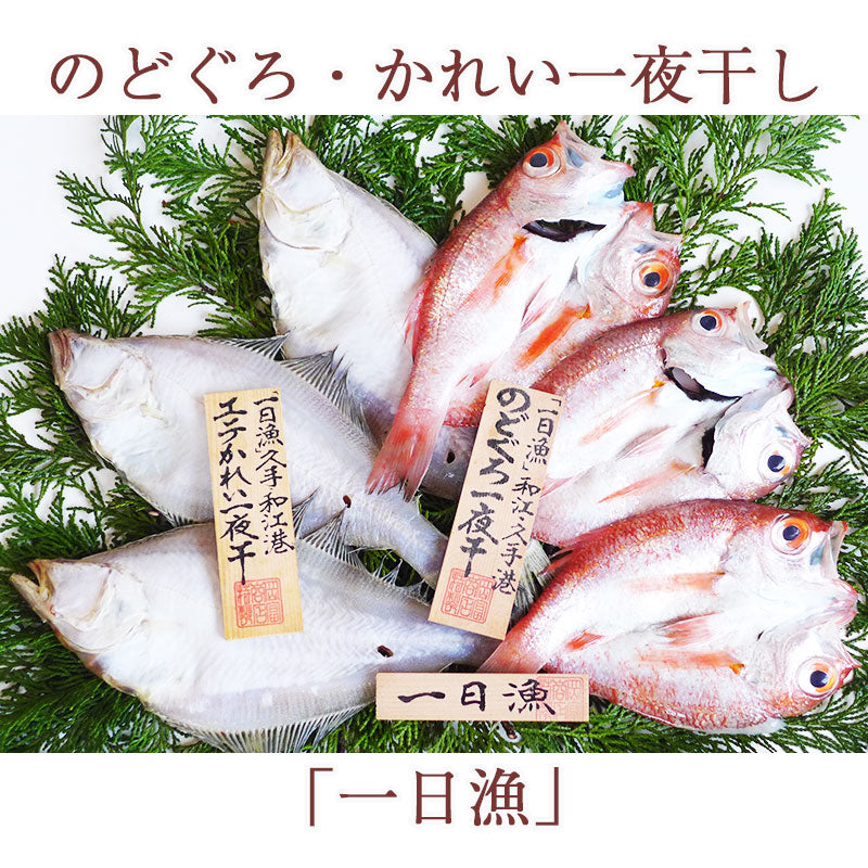 のどぐろ・かれい一夜干「一日漁」 ノドグロ（アカムツ）・エテカレイ（宗八カレイ） 国産 島根産 無添加 岡富商店 -おかとみ- ギフト