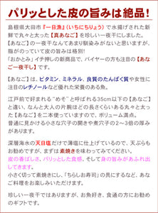 特大穴子一夜干「一日漁」 あなご2尾(計500ｇ) 国産 島根産 無添加 岡富商店 -おかとみ- ギフト
