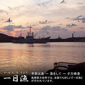 特大穴子一夜干「一日漁」 あなご2尾(計500ｇ) 国産 島根産 無添加 岡富商店 -おかとみ- ギフト