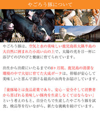 画像をギャラリービューアに読み込む, 自然づくり酒の肴セット（ポークジャーキー40g×2P・ジャンボソーセージ180g（2本入り）×1P・レバーケーゼ80g×1P）【無添加】【大成畜産】
