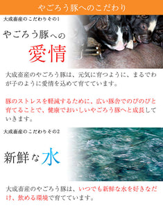 自然づくり酒の肴セット（ポークジャーキー40g×2P・ジャンボソーセージ180g（2本入り）×1P・レバーケーゼ80g×1P）【無添加】【大成畜産】