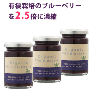 オーガニック ワイルド ブルーベリー ペースト3本セット有機 無添加 砂糖不使用【独自技術の加熱殺菌で素材を活かす】【デイリーフーズ】