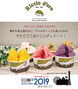 リッチョドーロ人気ジェラート8種ギフト【チョコレート／キャラメル／ミルキッチョ(バニラ)／ピスタチオ／洋梨／ラムレーズン／玄米茶／リッチョコクリーム(クッキー＆クリーム)】【神戸セレクション2019】【アレルギー食材原因28品目不使用】