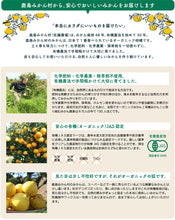 画像をギャラリービューアに読み込む, 佐藤さん家の有機みかん100％ストレートジュース1000ml×3本【有機JAS認定】【佐藤農園】
