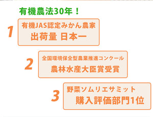 佐藤さん家の有機みかん100％ストレートジュース200ml×10本【有機JAS認定】【佐藤農園】