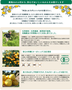佐藤さん家の有機みかん100％ストレートジュース200ml×10本【有機JAS認定】【佐藤農園】