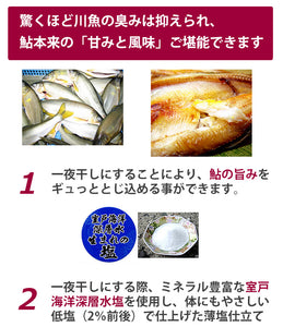 四万十の鮎の一夜干し 【養殖】 8尾【無添加】【手作業による昔ながらの製法】 【室戸海洋深層水塩を使用】【四万十生産】