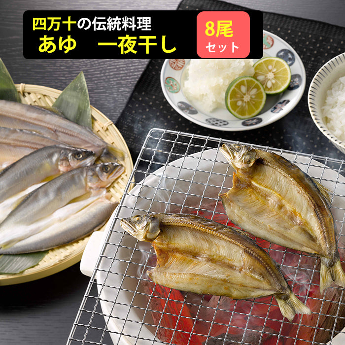 四万十の鮎の一夜干し 【養殖】 8尾【無添加】【手作業による昔ながらの製法】 【室戸海洋深層水塩を使用】【四万十生産】