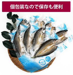 四万十の鮎の一夜干し 【養殖】 8尾【無添加】【手作業による昔ながらの製法】 【室戸海洋深層水塩を使用】【四万十生産】