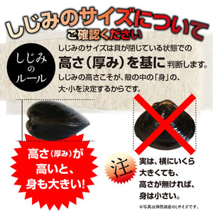宍道湖産 食べるしじみ味噌汁ギフトセット 10食入り【河村食材】