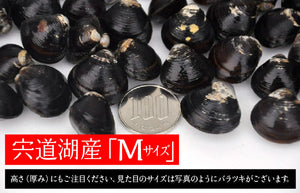 宍道湖産 食べるしじみ味噌汁ギフトセット 10食入り【河村食材】