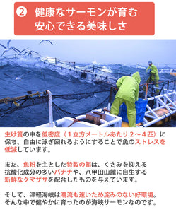 海峡サーモン お刺身・切身Ｃセット(お刺身さく、西京味噌漬、吟醸粕漬、甘塩味) 北彩屋 ギフト