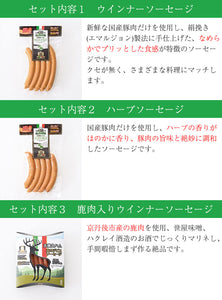 丹後フーズセット 7種7点セット【ウインナーソーセージ、ハーブソーセージ、鹿肉入りウインナーソーセージ、ベーコン（ブロック）、ロースハム（ブロック）、サラミコット、スモーク熟成ハム（スライス）】合計約1250g【国産】