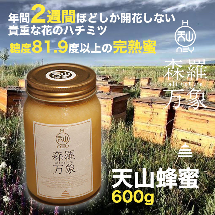 完熟生はちみつ】森羅万象の天山蜂蜜600g 希少な花の生はちみつ