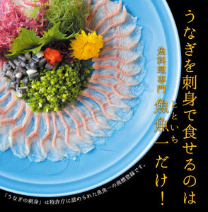 浜名湖うなぎの刺身（ご自宅用）【鰻・ウナギ】【魚魚一（とといち）】