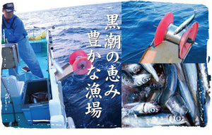 一本釣りうるめいわしお刺身セット（冷凍）【宇佐もん工房】