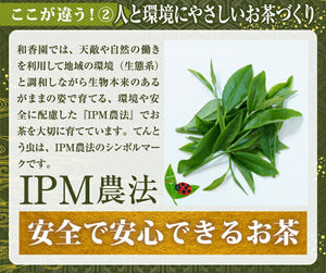 粉末緑茶2種ギフト あらびき茶（特）×2 ・べにふうき 缶タイプ 60g 3個セット【和香園】