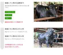 画像をギャラリービューアに読み込む, 甲州ワインビーフ カルビギフト セット（バラカルビ250g・上バラカルビ250g）計500g【小林牧場】
