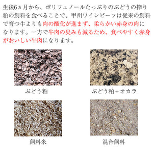 甲州ワインビーフ すき焼き肉ギフトセット（カタロース250g・モモ250g）計500g【小林牧場】