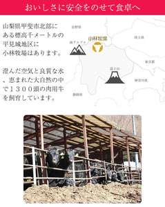 甲州ワインビーフシチュー 6個セット【小林牧場】