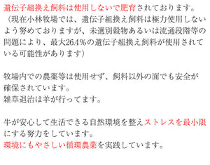 甲州ワインビーフシチュー 6個セット【小林牧場】
