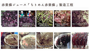 ちりめん赤紫蘇(2倍希釈タイプ)500ml×2本セット ギフト箱入【ユアサ】【送料無料 一部地域除く】