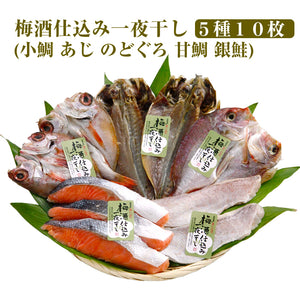 梅酒仕込み一夜干し 5種（小鯛：１枚・あじ：２枚・のどぐろ：２枚・甘鯛：２枚・銀鮭３切）計10枚セット【錢福屋】
