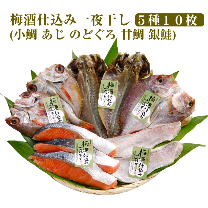梅酒仕込み一夜干し 5種（小鯛：１枚・あじ：２枚・のどぐろ：２枚・甘鯛：２枚・銀鮭３切）計10枚セット【錢福屋】